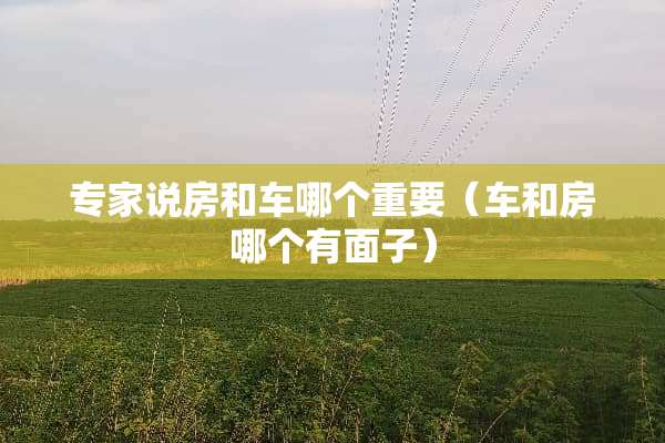 专家说房和车哪个重要（车和房哪个有面子）