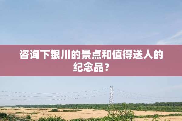 咨询下银川的景点和值得送人的纪念品？