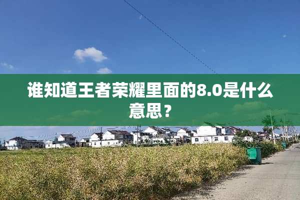 谁知道王者荣耀里面的8.0是什么意思？