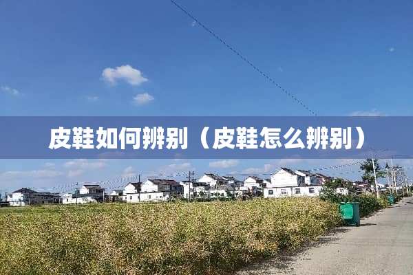 皮鞋如何辨别（皮鞋怎么辨别）