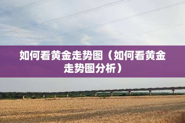 如何看黄金走势图（如何看黄金走势图分析）