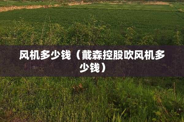 风机多少钱（戴森控股吹风机多少钱）