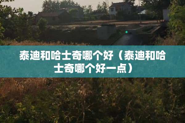 泰迪和哈士奇哪个好（泰迪和哈士奇哪个好一点）