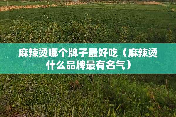 麻辣烫哪个牌子最好吃（麻辣烫什么品牌最有名气）