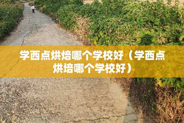 学西点烘焙哪个学校好（学西点烘培哪个学校好）