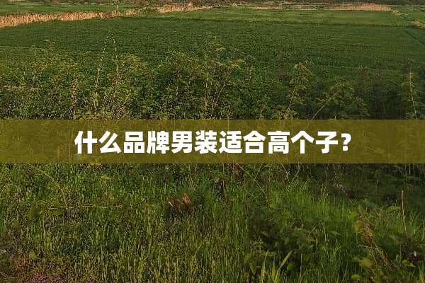 什么品牌男装适合高个子？