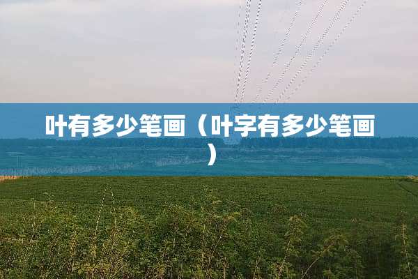 叶有多少笔画（叶字有多少笔画）