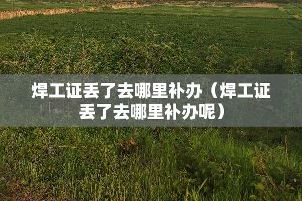 焊工证丢了去哪里补办（焊工证丢了去哪里补办呢）