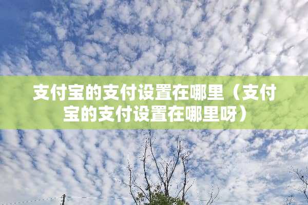 支付宝的支付设置在哪里（支付宝的支付设置在哪里呀）