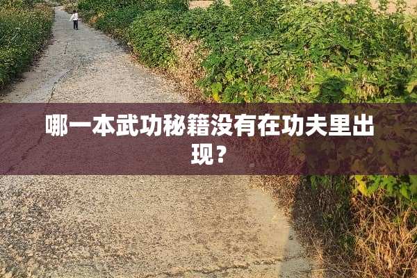 哪一本武功秘籍没有在功夫里出现？