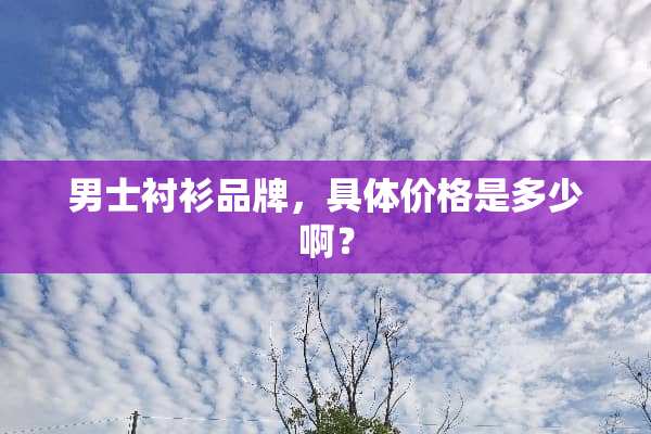 男士衬衫品牌，具体价格是多少啊？