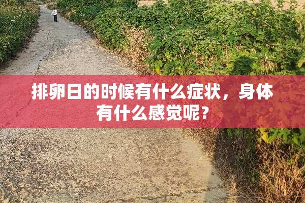 排卵日的时候有什么症状，身体有什么感觉呢？