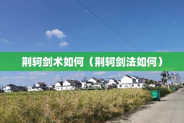荆轲剑术如何（荆轲剑法如何）