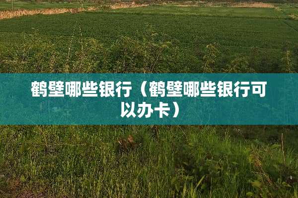 鹤壁哪些银行（鹤壁哪些银行可以办卡）