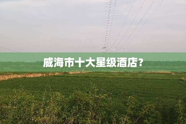 威海市十大星级酒店？
