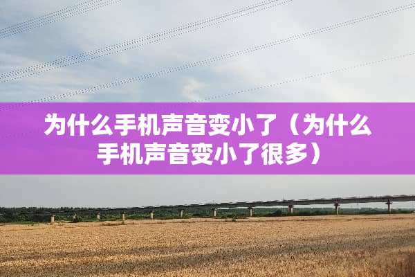 为什么手机声音变小了（为什么手机声音变小了很多）