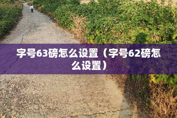 字号63磅怎么设置（字号62磅怎么设置）