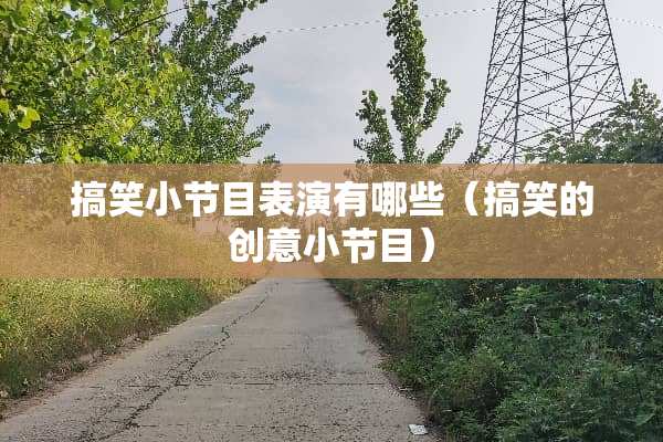 搞笑小节目表演有哪些（搞笑的创意小节目）