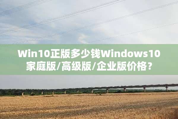 Win10正版多少钱Windows10家庭版/高级版/企业版价格？