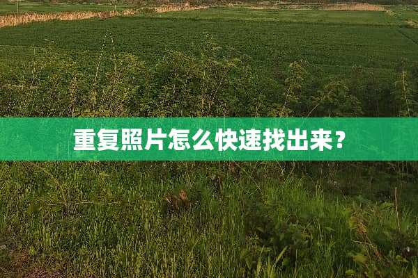 重复照片怎么快速找出来？