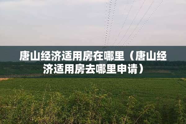 唐山经济适用房在哪里（唐山经济适用房去哪里申请）
