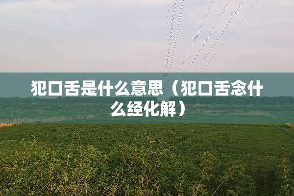 犯口舌是什么意思（犯口舌念什么经化解）