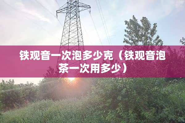 铁观音一次泡多少克（铁观音泡茶一次用多少）