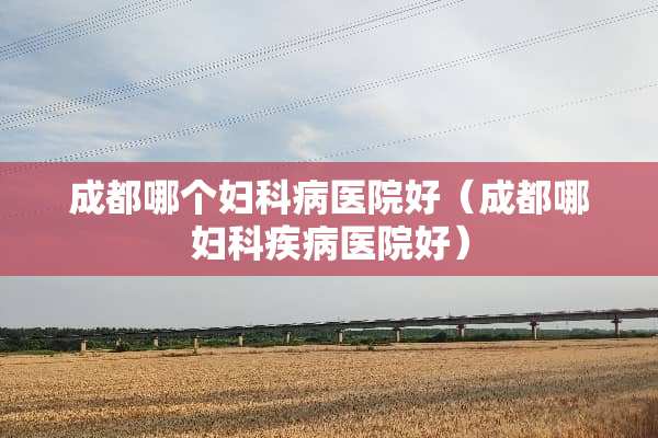 成都哪个妇科病医院好（成都哪妇科疾病医院好）