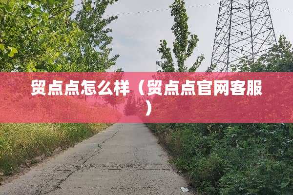 贸点点怎么样（贸点点官网客服）