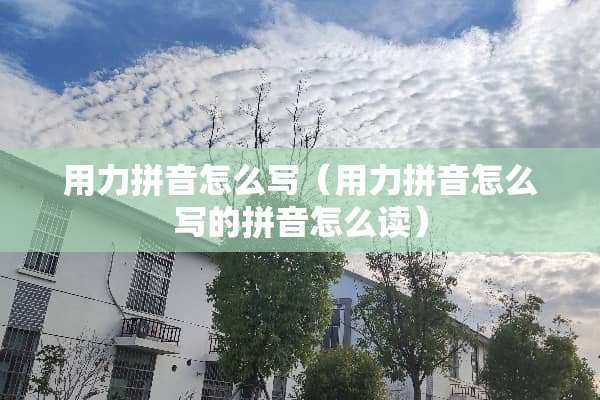 用力拼音怎么写（用力拼音怎么写的拼音怎么读）