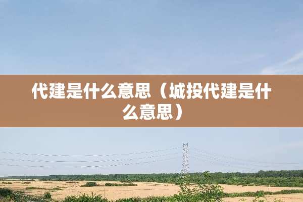 代建是什么意思（城投代建是什么意思）