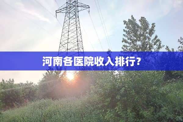 河南各医院收入排行？