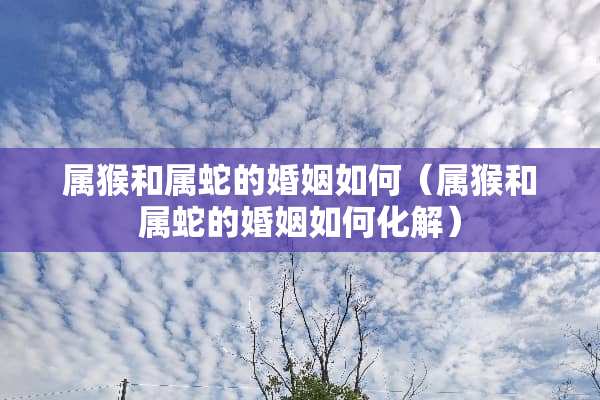 属猴和属蛇的婚姻如何（属猴和属蛇的婚姻如何化解）