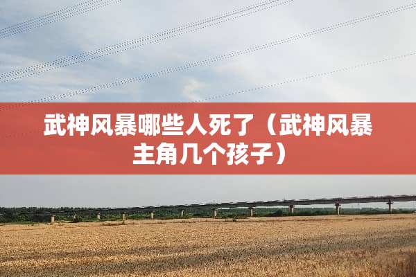 武神风暴哪些人死了（武神风暴主角几个孩子）