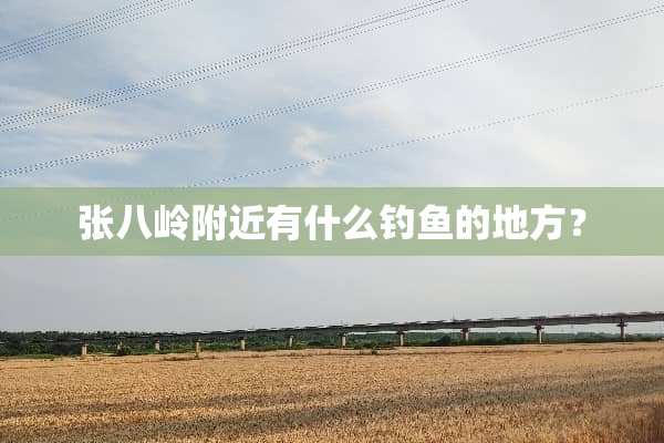 张八岭附近有什么钓鱼的地方？