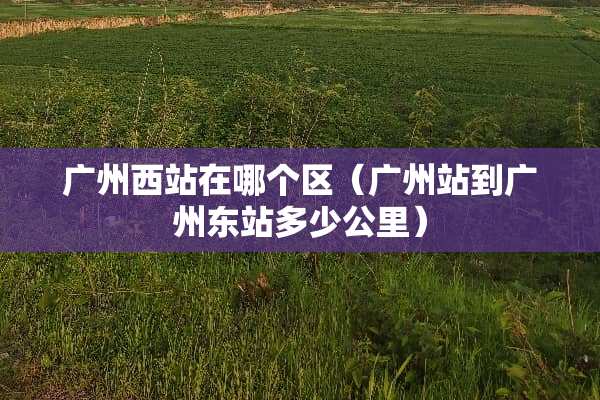 广州西站在哪个区（广州站到广州东站多少公里）