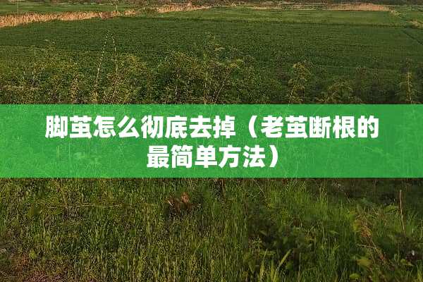 脚茧怎么彻底去掉（老茧断根的最简单方法）