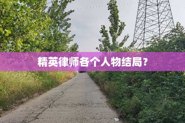 精英律师各个人物结局？