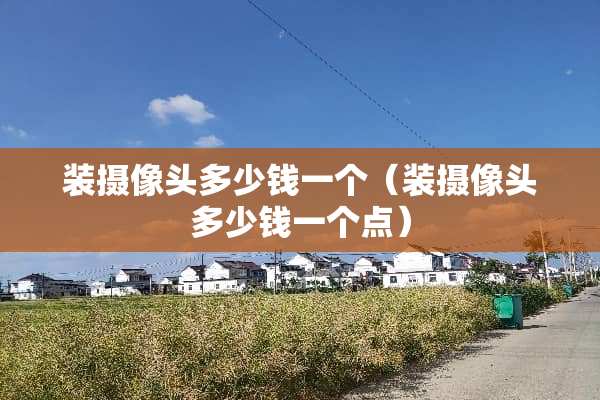 装**头多少钱一个（装**头多少钱一个点）