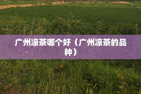 广州凉茶哪个好（广州凉茶的品种）