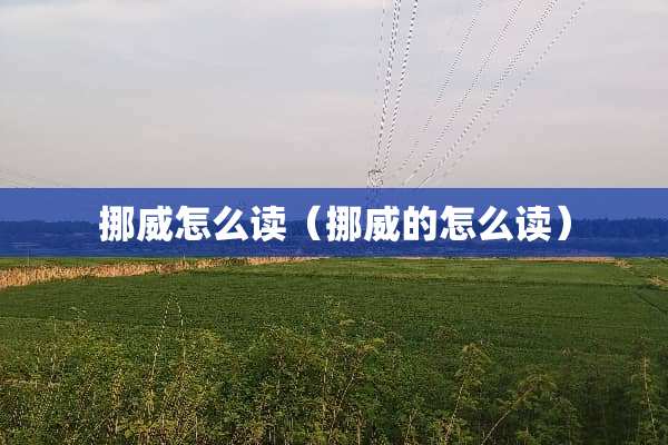 挪威怎么读（挪威的怎么读）