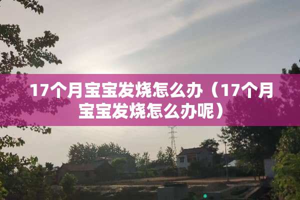 17个月宝宝发烧怎么办（17个月宝宝发烧怎么办呢）