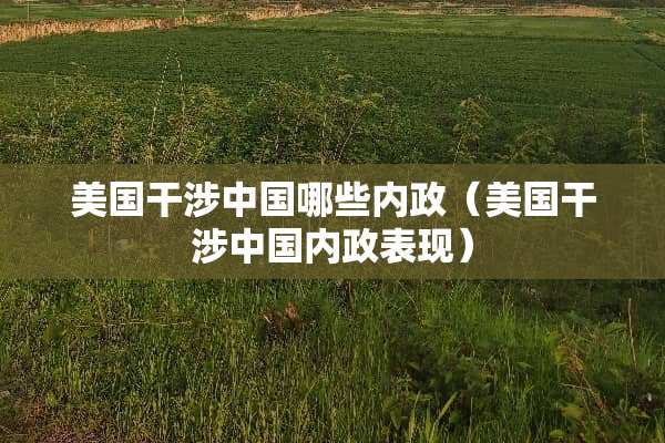 美国干涉中国哪些内政（美国干涉中国内政表现）