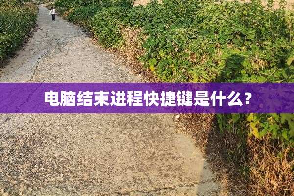 电脑结束进程快捷键是什么？