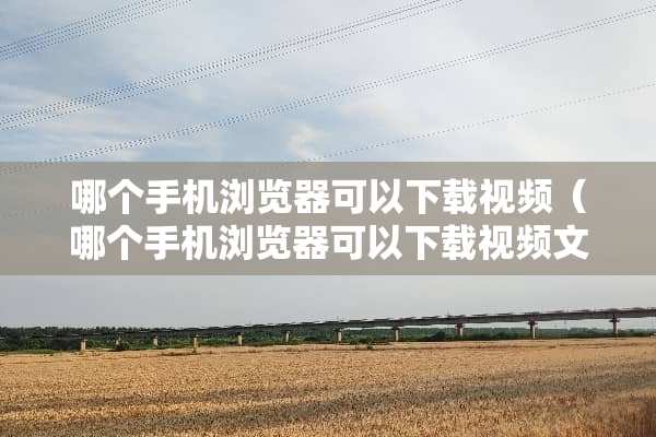 哪个手机浏览器可以下载视频（哪个手机浏览器可以下载视频文件）