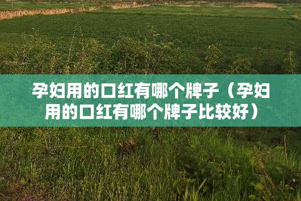 孕妇用的口红有哪个牌子（孕妇用的口红有哪个牌子比较好）