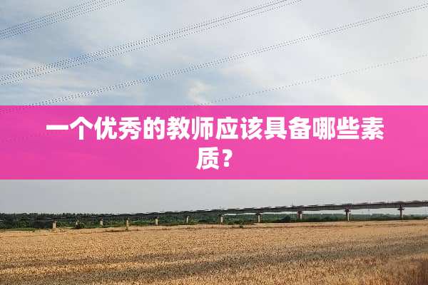 一个优秀的教师应该具备哪些素质？