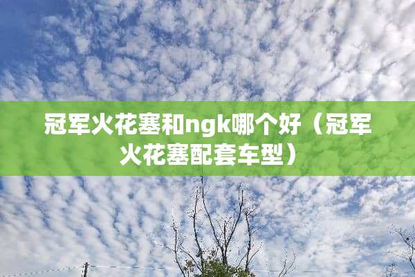 冠**花塞和ngk哪个好（冠**花塞配套车型）