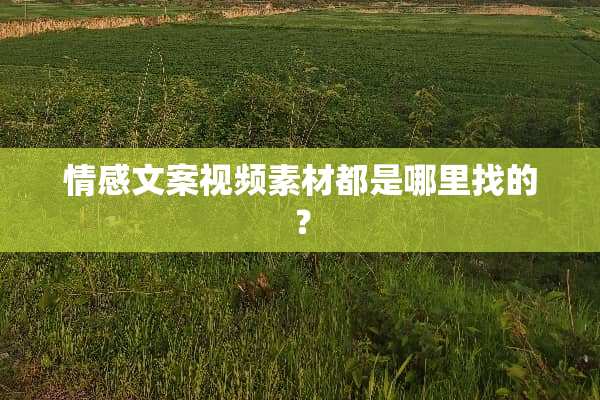 情感文案视频素材都是***的？