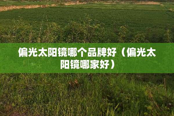 偏光太阳镜哪个品牌好（偏光太阳镜哪家好）